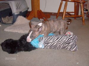 Playin wif my sister, Peggy Sue