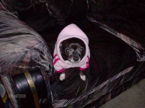 Cissy in her hoodie